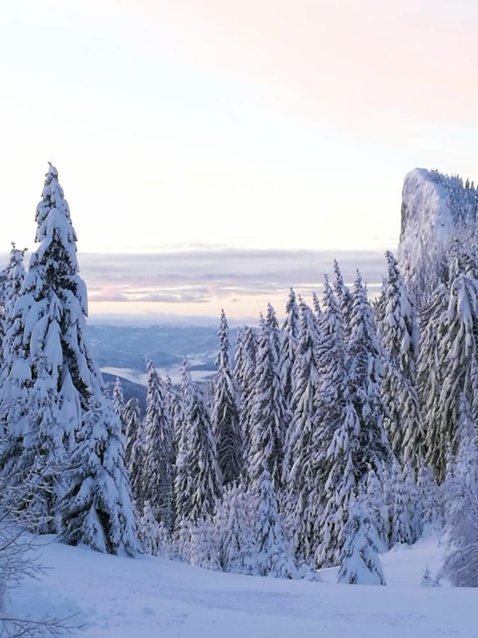 Hotel Elitza Pamporovo Bagian luar foto
