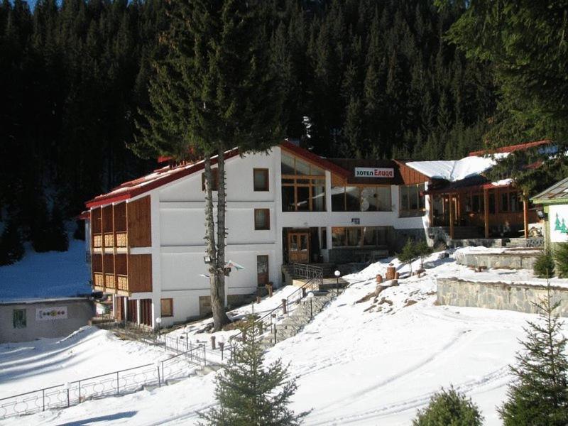 Hotel Elitza Pamporovo Bagian luar foto