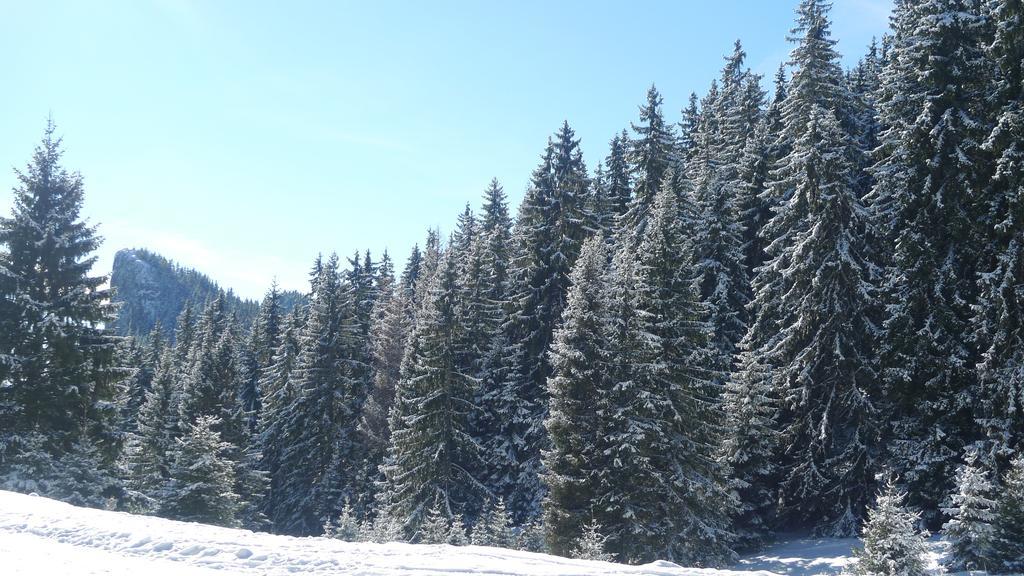 Hotel Elitza Pamporovo Bagian luar foto