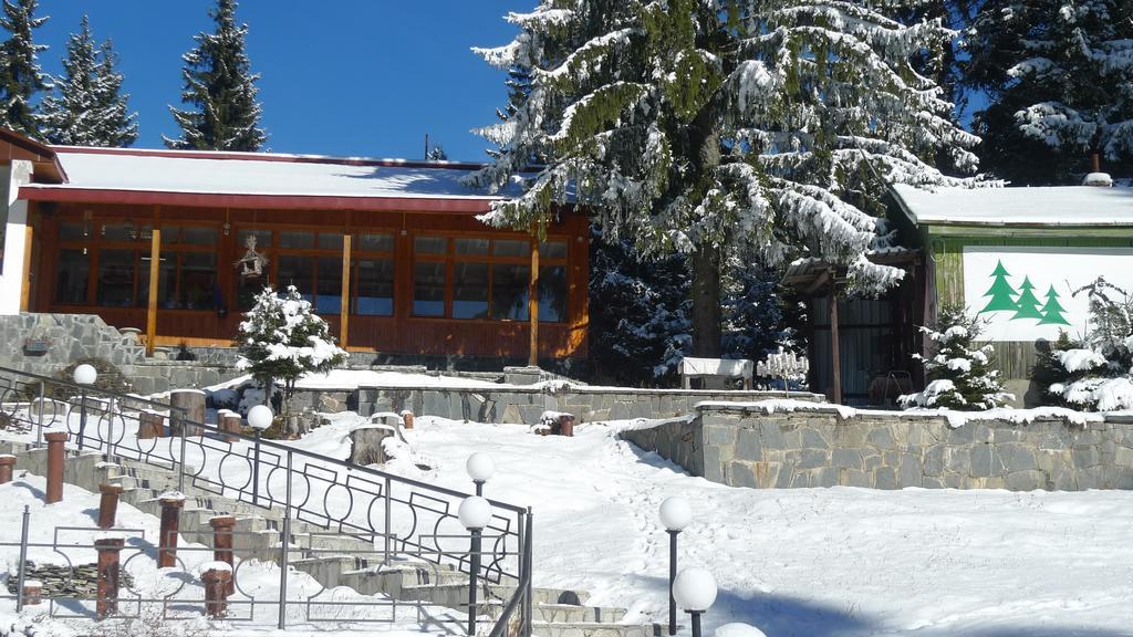 Hotel Elitza Pamporovo Bagian luar foto