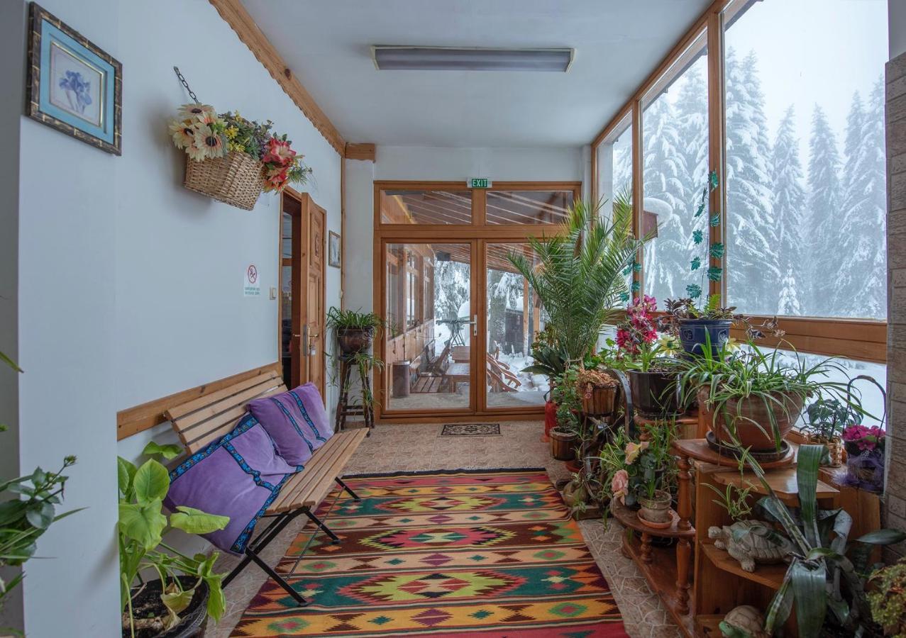 Hotel Elitza Pamporovo Bagian luar foto