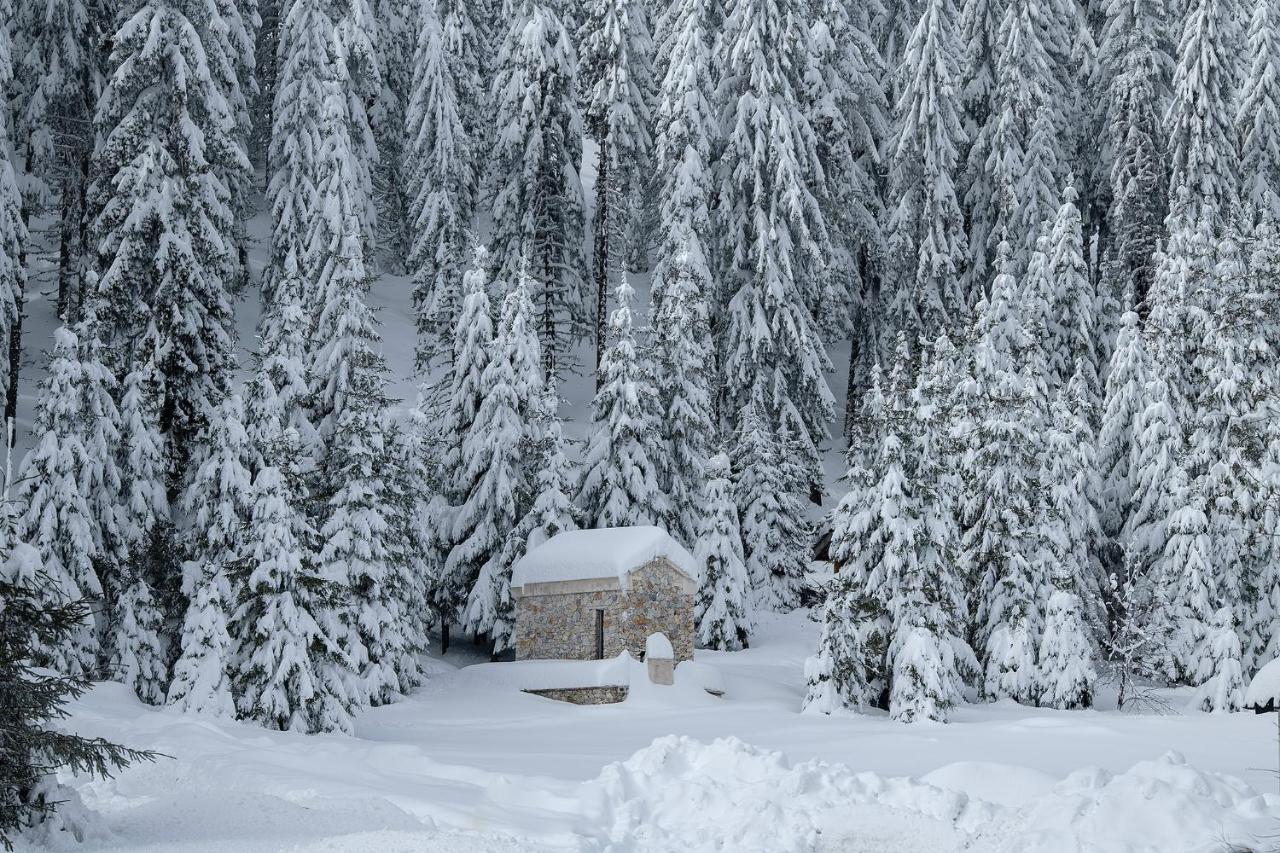 Hotel Elitza Pamporovo Bagian luar foto